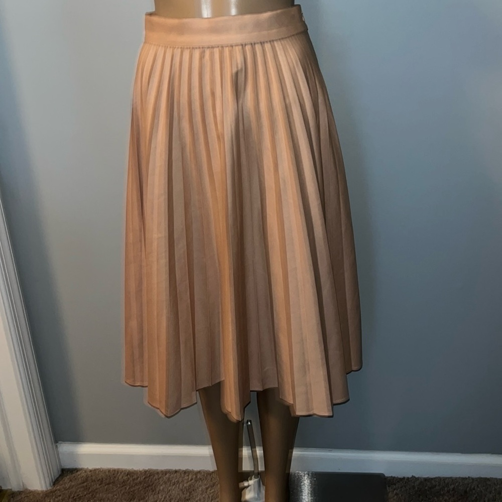 Zara pleated dress skirt.